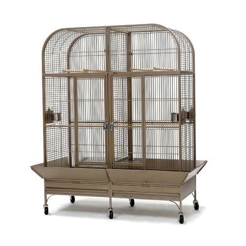 ZHIVOI MIR DAYANG A52