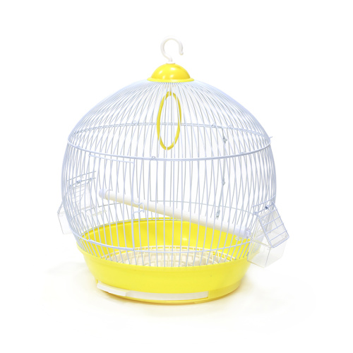 ZHIVOI MIR DAYANG 308