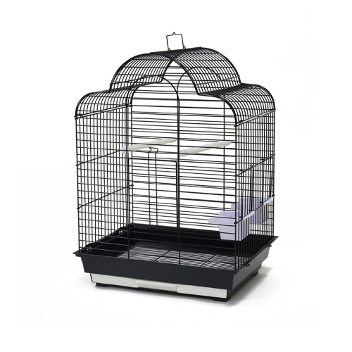 ZHIVOI MIR DAYANG 800