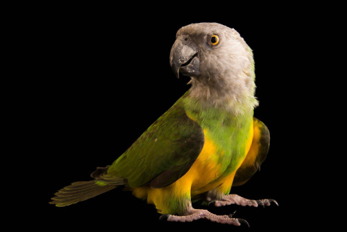 1d824f63b6f85a91befc8674ba6db020