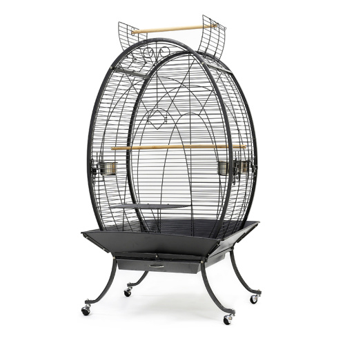 ZHIVOI MIR DAYANG A28