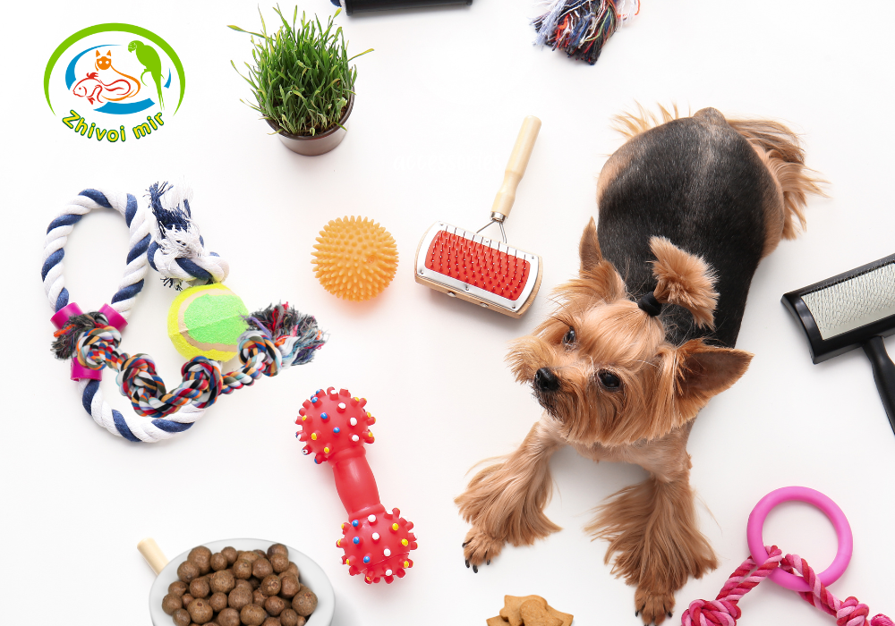 Открытие интернет магазина