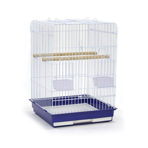 ZHIVOI MIR DAYANG 904