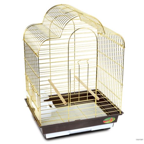 ZHIVOI MIR DAYANG 800 Golden