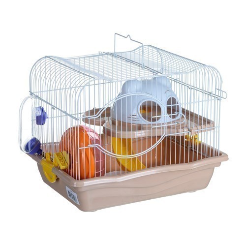 ZHIVOI MIR DAYANG M011