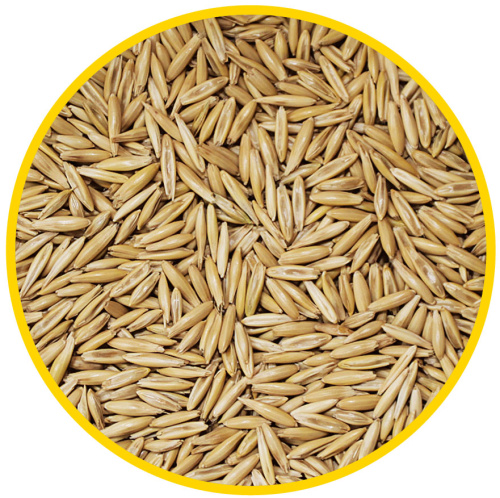 Овес весовой (155) (35кг меш)