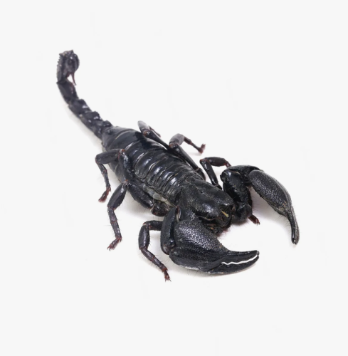 Снимок экрана 2024-02-14 173945