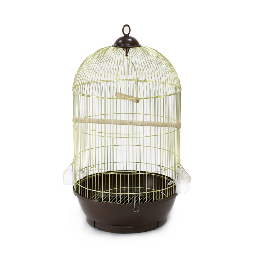 ZHIVOI MIR DAYANG 330