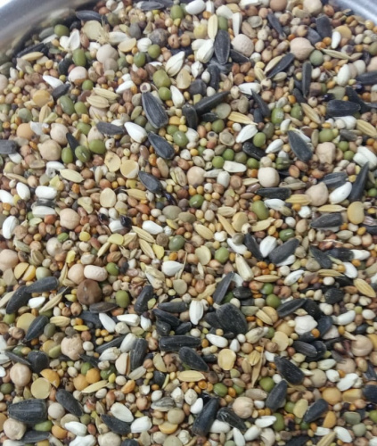 Наш Голубь супер-премиум 10кг