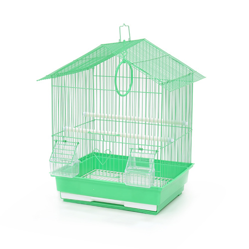 ZHIVOI MIR DAYANG A401