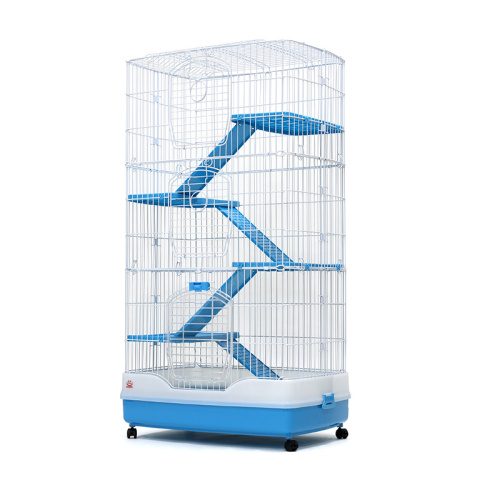 ZHIVOI MIR DAYANG R63