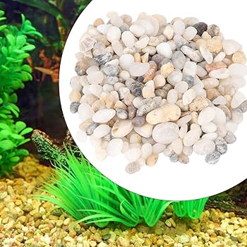 71talHw99oL._AC_UF350,350_QL80_