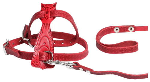 4b7ae279-6754-41bc-9428-2f3364e80f2a