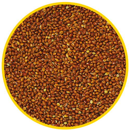 Просо красное (156) (50кг меш)