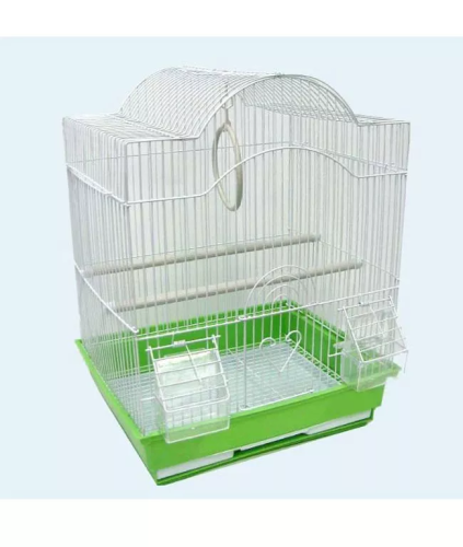 ZHIVOI MIR DAYANG 113