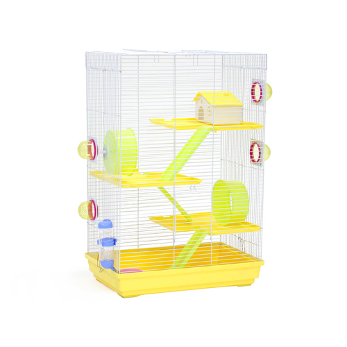 ZHIVOI MIR DAYANG 511C