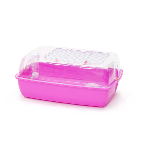 ZHIVOI MIR DAYANG M041