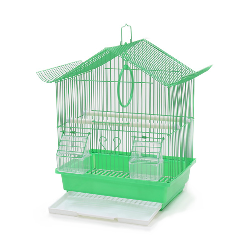 ZHIVOI MIR DAYANG 111