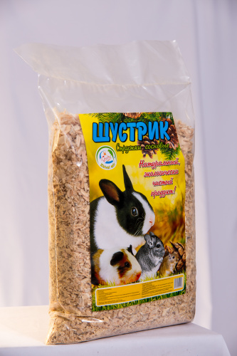 шустрик1_aizekphoto-15