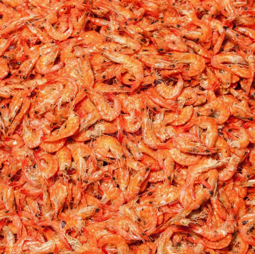 Снимок экрана 2023-11-09 113045