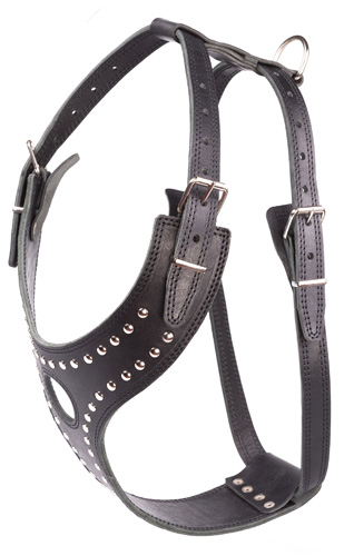 Шлея азиат с грузом