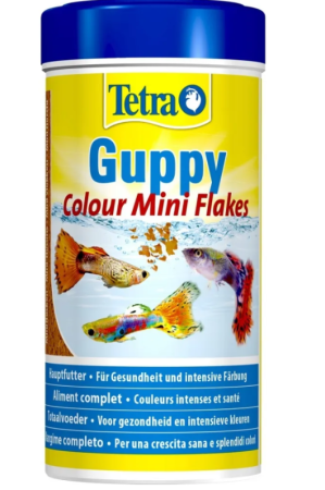 50021e95-8977-4222-adc9-ff09c58e4a8c