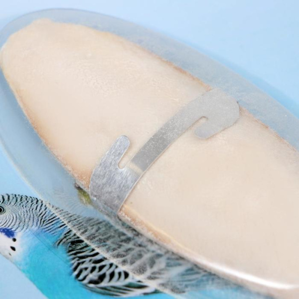 Панцирь каракатицы с креплением для птиц, 12 см2