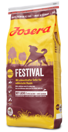 Festival_with Shadow