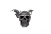 EHR15 ЧЕРЕП ОБЕЗЬЯНЫ PRIMATE SKULL 22X18X15,5СМ