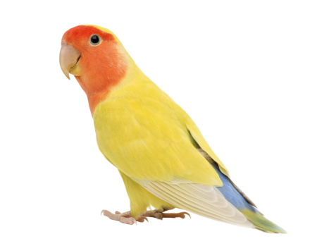 db9ncx0-622a822b-1527-418a-811e-93e33af4350c