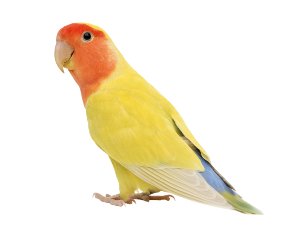 db9ncx0-622a822b-1527-418a-811e-93e33af4350c