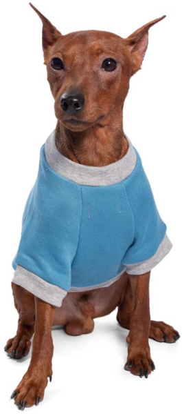 Толстовка Marvel Ракета размер xs2