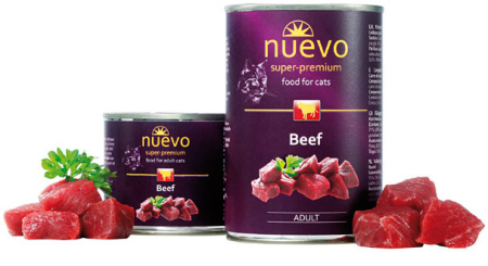 Landguth_Nuevo_Flyer_russisch_RZ_CS5-17